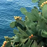 Retreat, Panoramic Sea View * غيتيو