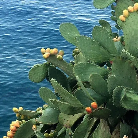 Retreat, Panoramic Sea View * Gythio