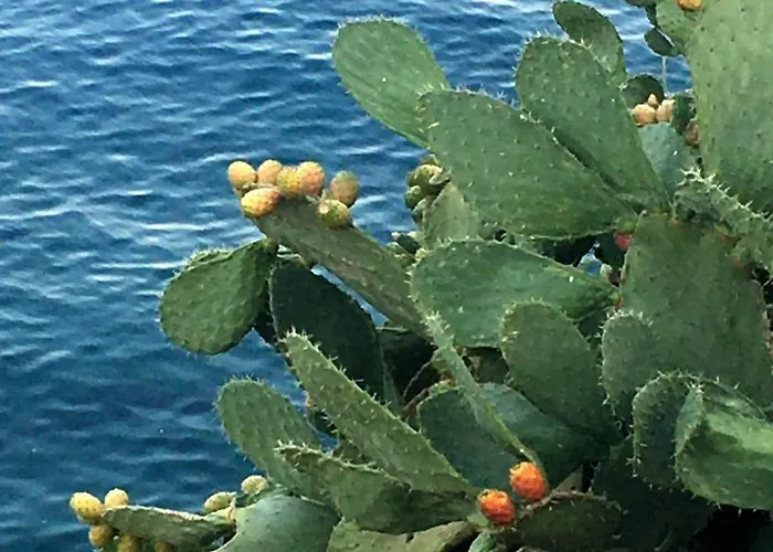 Retreat, Panoramic Sea View * Githio